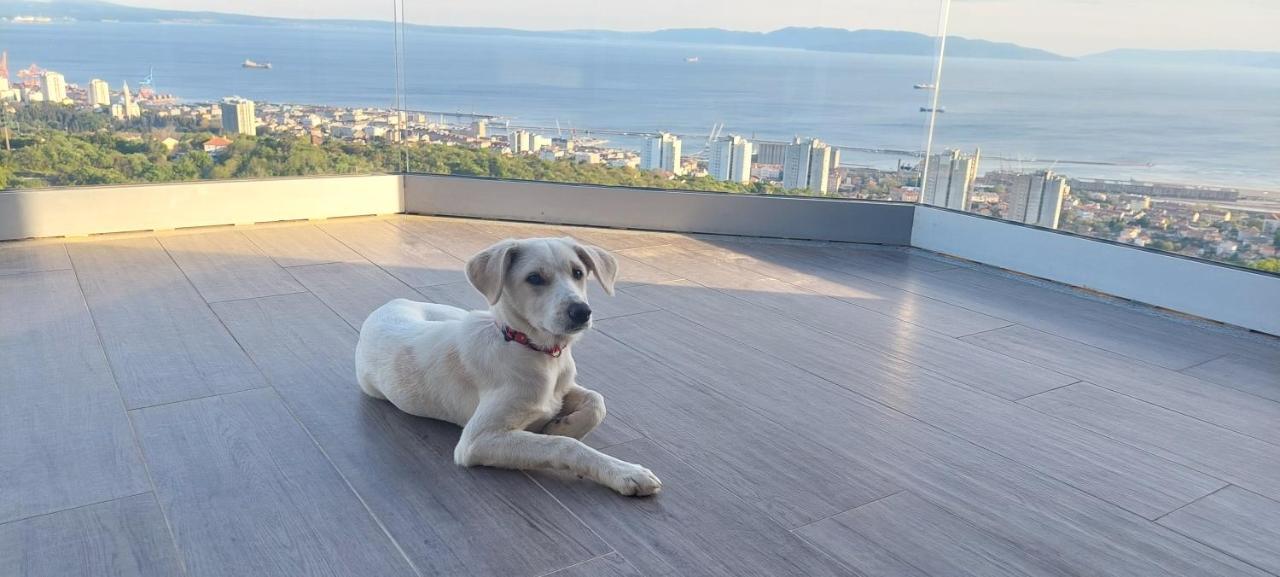 Drenova View Apartman Fiume Kültér fotó